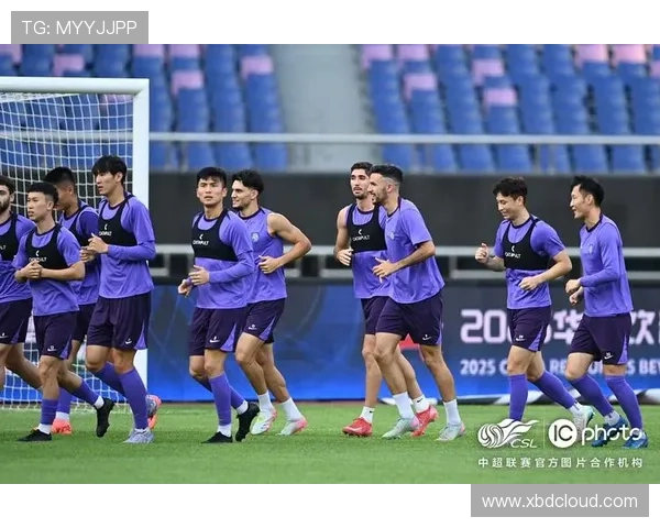 2025赛季中超联赛16队观众人数差异分析揭示上座率悬殊情况